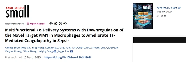 Multifunctional Co‐Delivery Systems with Downregulation of the Novel Target PIM1 in Macrophages to Ameliorate TF‐Mediated Coagulopathy in Sepsis