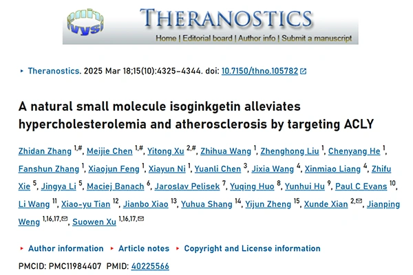 A natural small molecule isoginkgetin alleviates hypercholesterolemia and atherosclerosis by targeting ACLY
