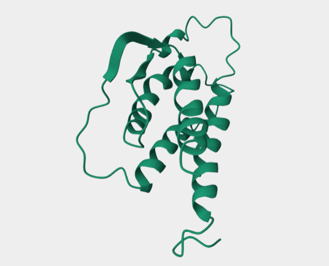 Interleukin-2 (IL2): The "Double-Edged Sword" of the Immune System
