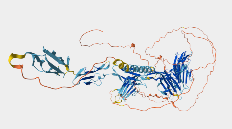 SEZ6: A New Therapeutic Target for Neuroendocrine Tumors with Multiple ADCs in Clinical Development