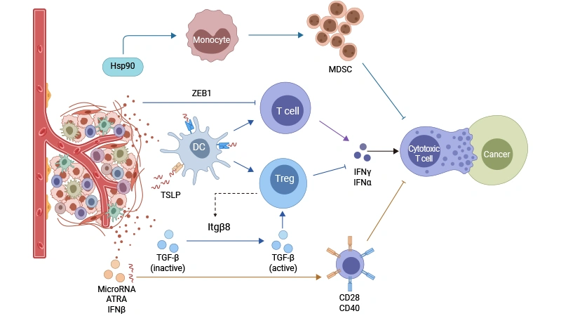 Mechanisms of resistance to immunotherapy. 