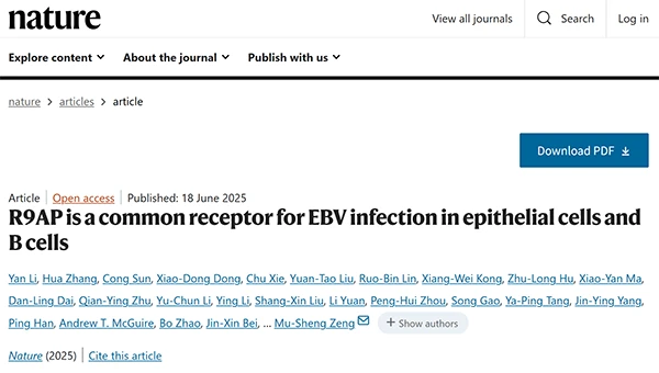 R9AP is a common receptor for EBV infection in epithelial cells and B cells