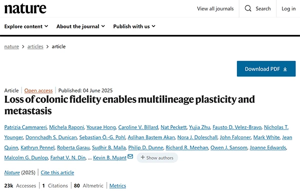Loss of colonic fidelity enables multilineage plasticity and metastasis