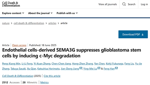 Endothelial cells-derived SEMA3G suppresses glioblastoma stem cells by inducing c-Myc degradation