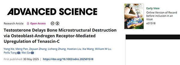 Testosterone Delays Bone Microstructural Destruction via Osteoblast‐Androgen Receptor‐Mediated Upregulation of Tenascin‐C