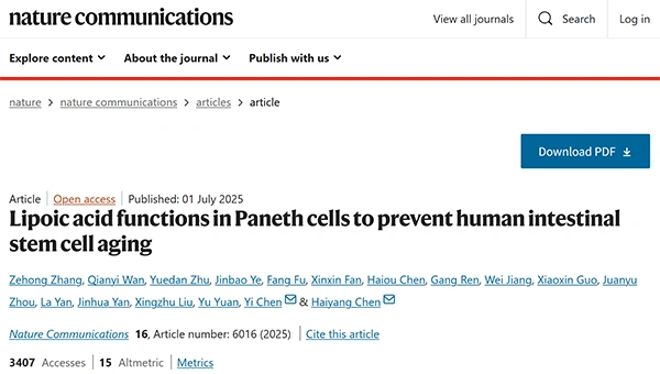 Lipoic acid functions in Paneth cells to prevent human intestinal stem cell aging