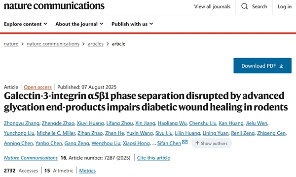 Galectin-3-integrin α5β1 phase separation disrupted by advanced glycation end-products impairs diabetic wound healing in rodents