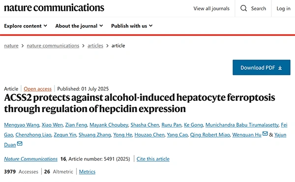 ACSS2 protects against alcohol-induced hepatocyte ferroptosis through regulation of hepcidin expression