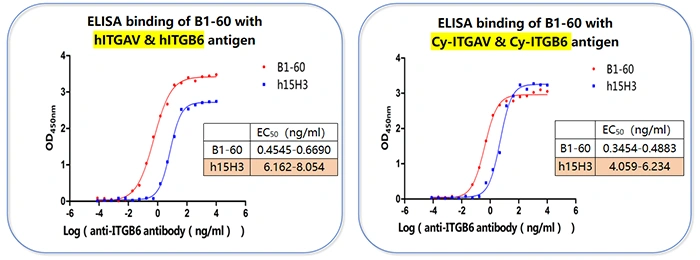 Binding Activity Validation (ELISA Analysis)