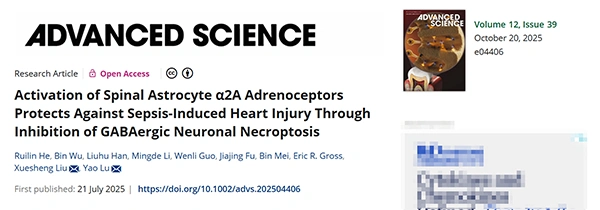 Activation of Spinal Astrocyte α2A Adrenoceptors Protects Against Sepsis‐Induced Heart Injury Through Inhibition of GABAergic Neuronal Necroptosis