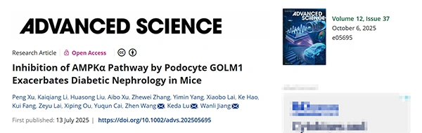 Inhibition of AMPKα Pathway by Podocyte GOLM1 Exacerbates Diabetic Nephrology in Mice