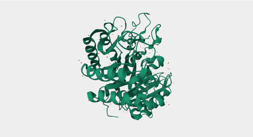 Metabolic Hub, Reprogramming Disease: SLC3A2 – From Amino Acid Transport Mechanism to Emerging Therapeutic Target