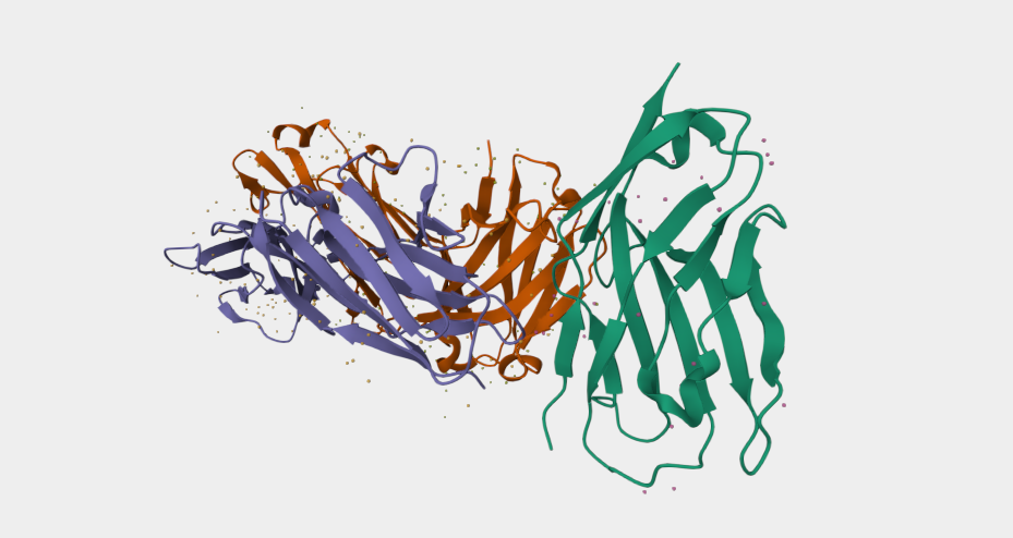 SIGLEC15: An Emerging Immune Checkpoint Target in Tumor Immunotherapy