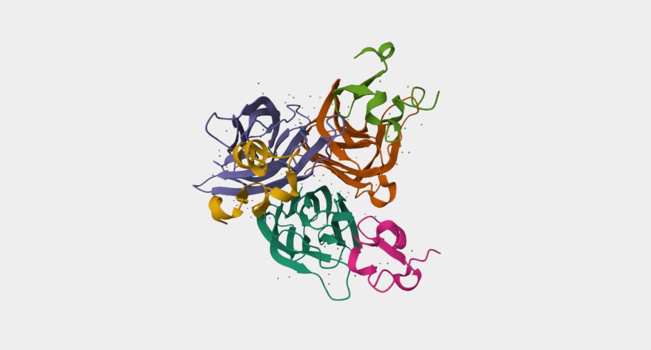 Targeting TNFRSF13B: Dual-Target Strategies Usher in New Focus for Treating Tumors and Autoimmune Diseases