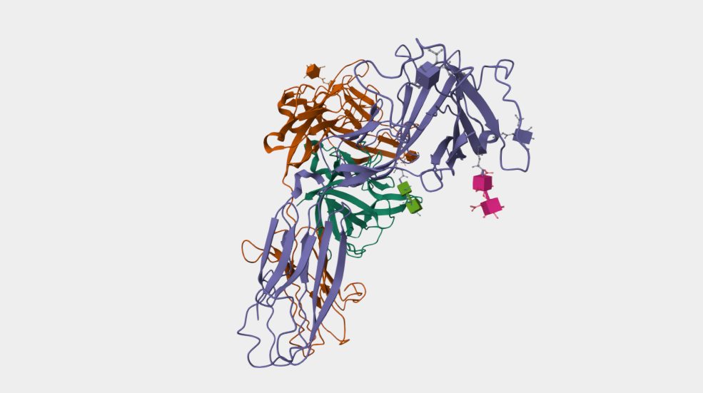 IL1RAP: Background, Research Mechanisms, Signaling Pathways, Related Diseases, and Latest Advances in Drug Development