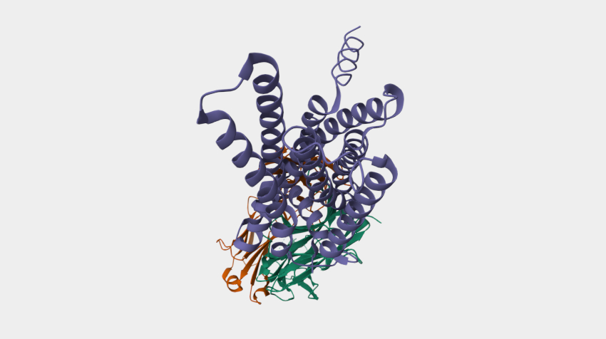 GPR20: From "Orphan" to a Promising Novel Target for Overcoming Drug-Resistant GIST