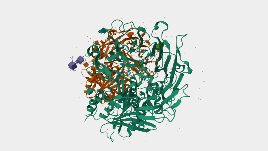 A Novel Target for Cancer Therapy: FAP – From Tumor Microenvironment Regulation to Theranostics