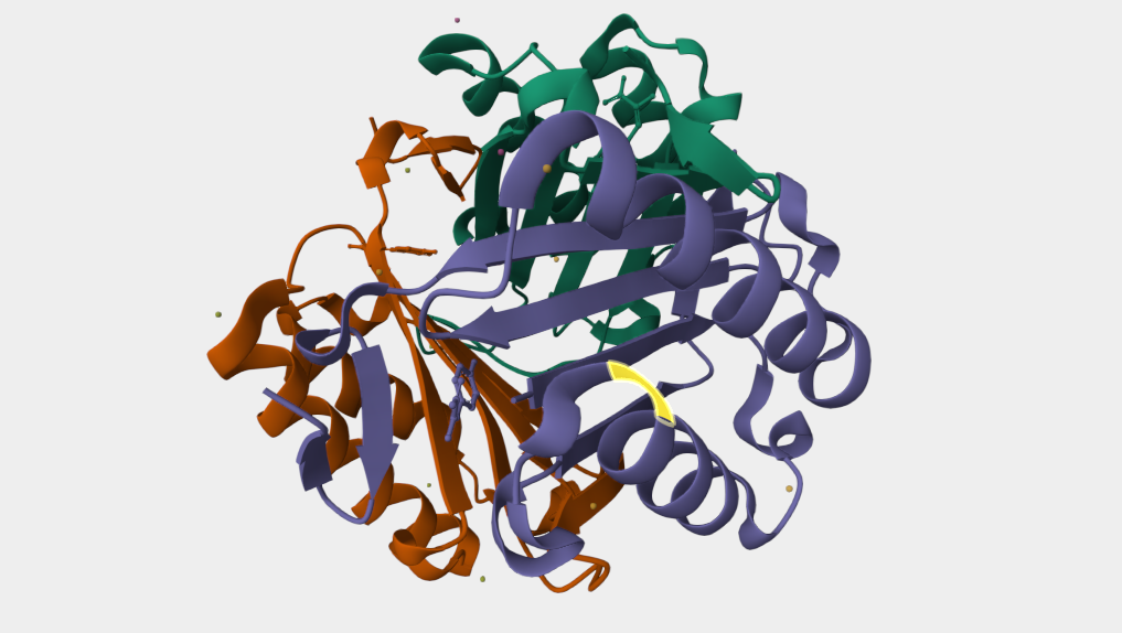 Macrophage Migration Inhibitory Factor (MIF): A Pleiotropic Target Linking Inflammation and Cancer