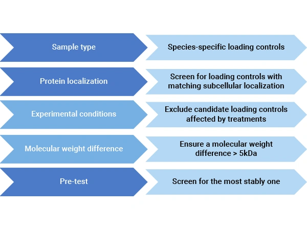 Considerations in Choosing Loading Controls