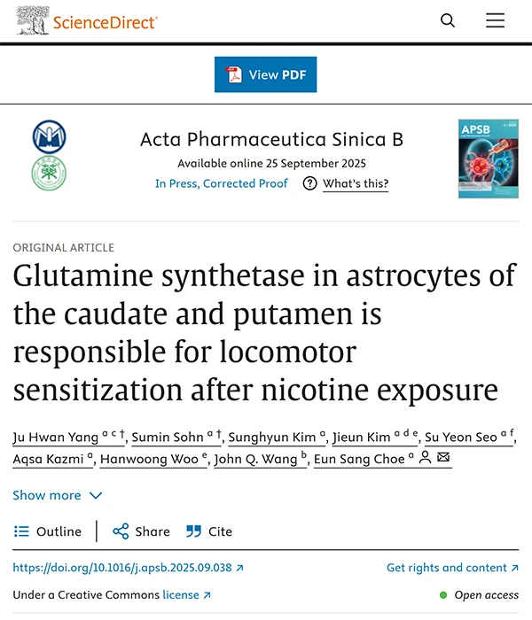 A Novel Self‐Regulated, Non‐Directional Magnetic Thermos‐Brachytherapy 125I Seed Enhances Anticancer Efficacy by Rescuing Immune Escape