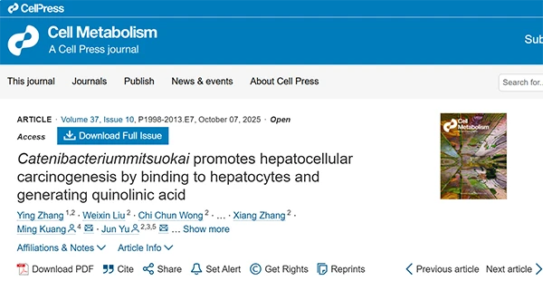 Catenibacterium mitsuokai promotes hepatocellular carcinogenesis by binding to hepatocytes and generating quinolinic acid