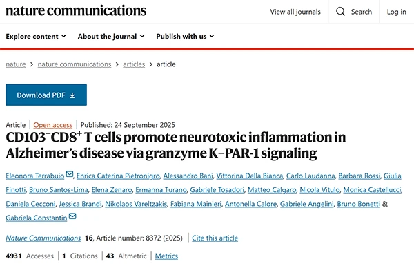 CD103–CD8+ T cells promote neurotoxic inflammation in Alzheimer's disease via granzyme K–PAR-1 signaling