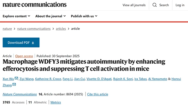 Macrophage WDFY3 mitigates autoimmunity by enhancing efferocytosis and suppressing T cell activation in mice