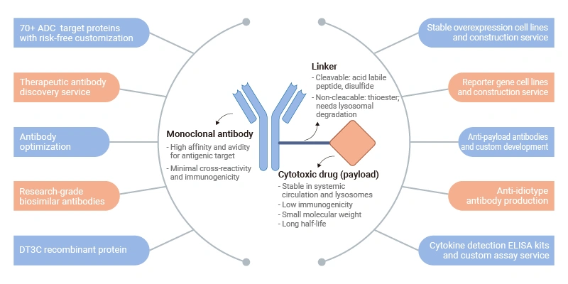 ADC Drug Development Solutions