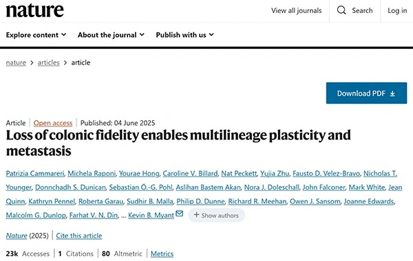 Simulations and active learning enable efficient identification of an experimentally-validated broad coronavirus inhibitor