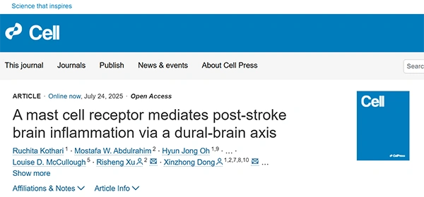 A mast cell receptor mediates post-stroke brain inflammation via a dural-brain axis