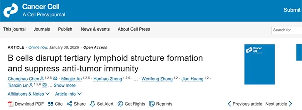 B cells disrupt tertiary lymphoid structure formation and suppress anti-tumor immunity