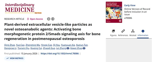Plant‐derived extracellular vesicle‐like particles as novel osteoanabolic agents: Activating bone morphogenetic protein 2/Smads signaling axis for bone regeneration in postmenopausal osteoporosis