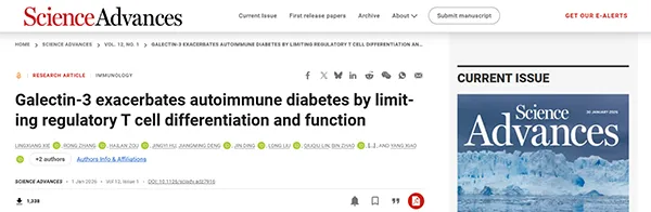 Galectin-3 exacerbates autoimmune diabetes by limiting regulatory T cell differentiation and function