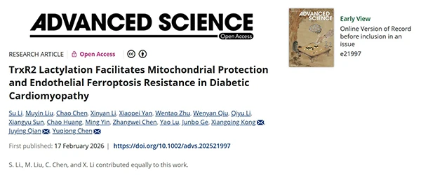 TrxR2 Lactylation Facilitates Mitochondrial Protection and Endothelial Ferroptosis Resistance in Diabetic Cardiomyopathy