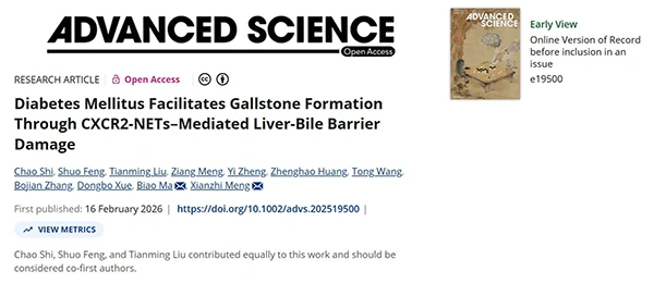 Diabetes Mellitus Facilitates Gallstone Formation Through CXCR2‐NETs–Mediated Liver‐Bile Barrier Damage