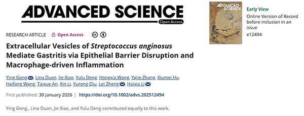 Extracellular Vesicles of Streptococcus anginosus Mediate Gastritis via Epithelial Barrier Disruption and Macrophage‐driven Inflammation