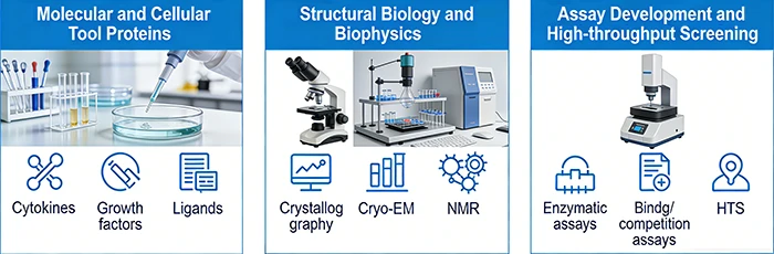 Applications of recombinant proteins in biological research