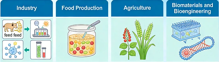 Applications of recombinant proteins in biotechnology