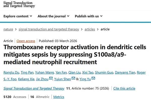 Thromboxane receptor activation in dendritic cells mitigates sepsis by suppressing S100a8/a9-mediated neutrophil recruitment