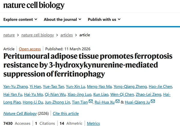 Peritumoural adipose tissue promotes ferroptosis resistance by 3-hydroxykynurenine-mediated suppression of ferritinophagy