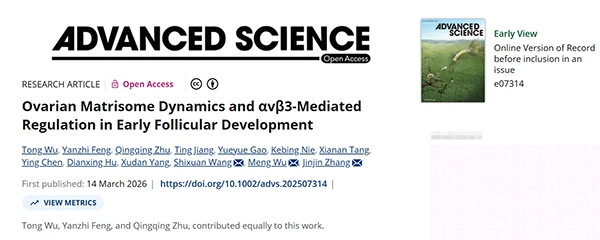 Ovarian Matrisome Dynamics and αvβ3‐Mediated Regulation in Early Follicular Development