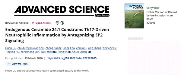 Endogenous Ceramide 24: 1 Constrains Th17‐Driven Neutrophilic Inflammation by Antagonizing EP2 Signaling