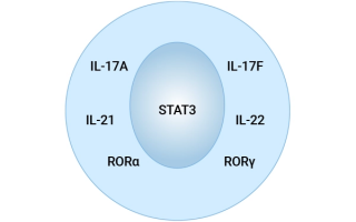 Differentiation of Th17 Cells and Their Roles in Health and Disease