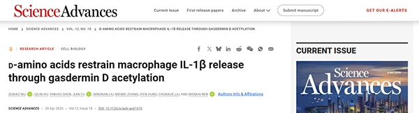 d-amino acids restrain macrophage IL-1β release through gasdermin D acetylation