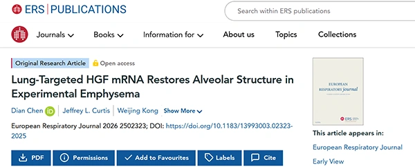Lung-Targeted HGF mRNA Restores Alveolar Structure in Experimental Emphysema