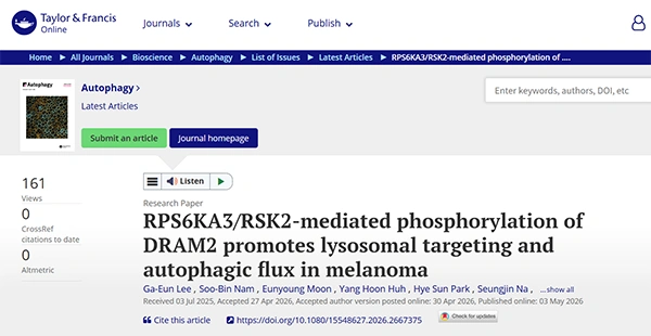 RPS6KA3/RSK2-mediated phosphorylation of DRAM2 promotes lysosomal targeting and autophagic flux in melanoma