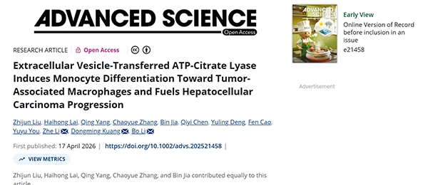 Extracellular Vesicle‐Transferred ATP‐Citrate Lyase Induces Monocyte Differentiation Toward Tumor‐Associated Macrophages and Fuels Hepatocellular Carcinoma Progression