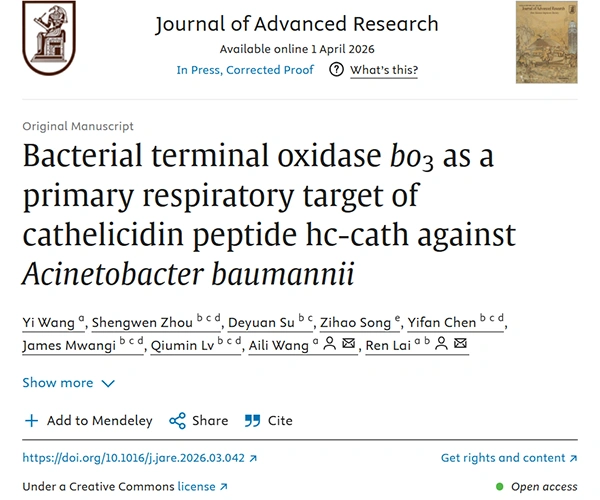 Bacterial terminal oxidase bo3 as a primary respiratory target of cathelicidin peptide hc-cath against Acinetobacter baumannii