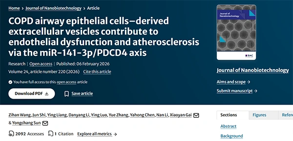 COPD Airway Epithelial Cells–Derived Extracellular Vesicles Contribute to Endothelial Dysfunction and Atherosclerosis via the miR-141-3p/PDCD4 Axis