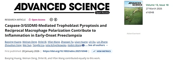 Caspase‐3/GSDME‐Mediated Trophoblast Pyroptosis and Reciprocal Macrophage Polarization Contribute to Inflammation in Early‐Onset Preeclampsia